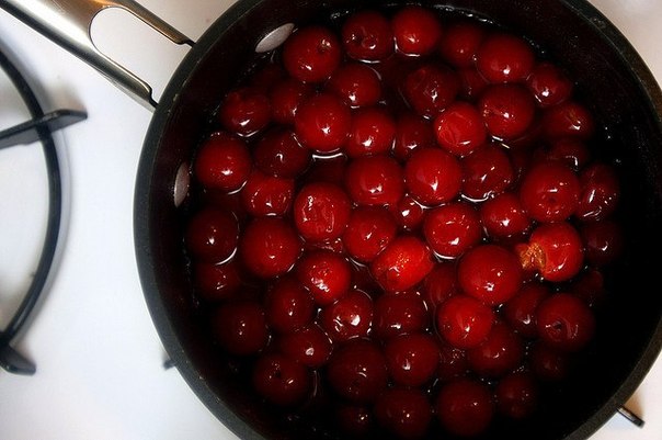 Калина пареная