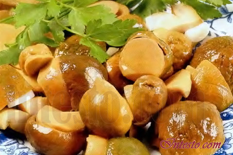 Грибы белые маринованные