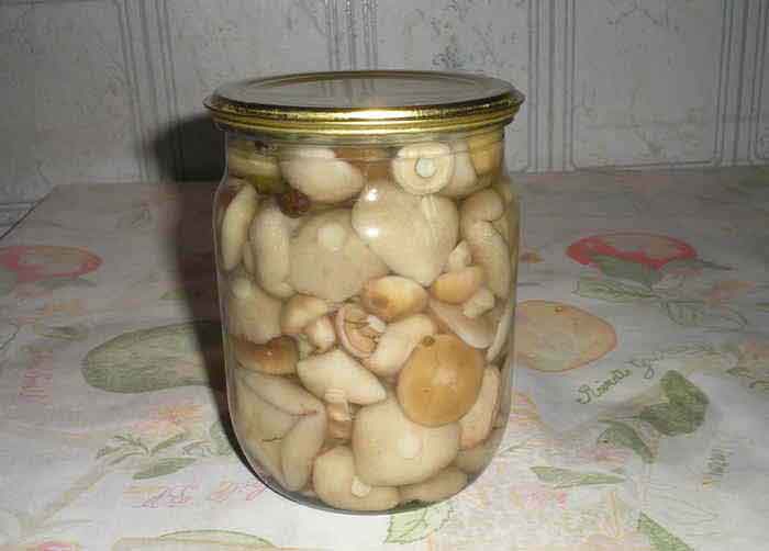 Грибы в маринаде