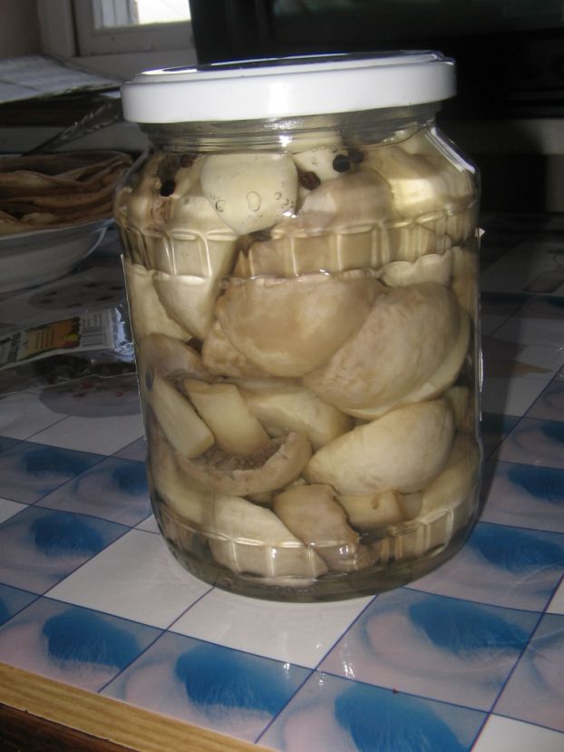 Шампиньоны впрок