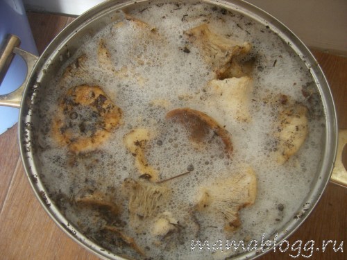 Соленые грузди