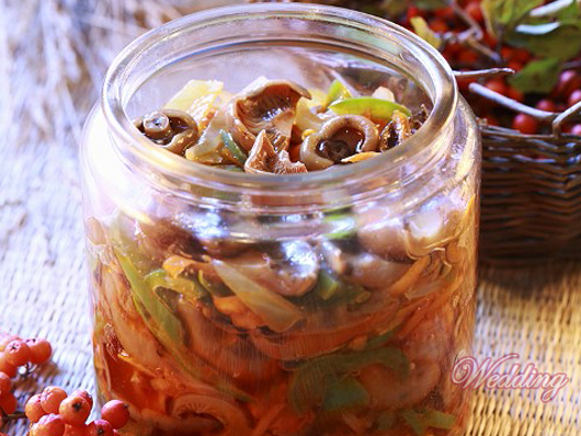 Вешенки соленые холодным способом