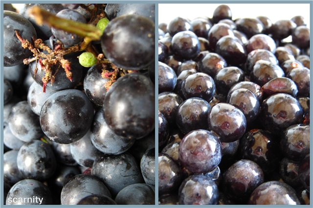 Желе из винограда