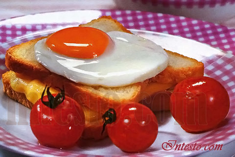 Сэндвичи с лангустами